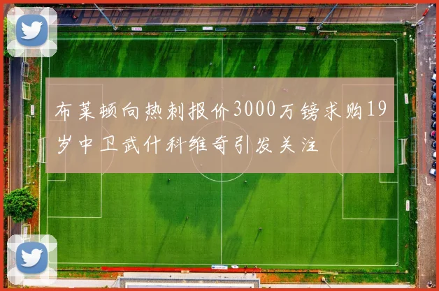 布莱顿向热刺报价3000万镑求购19岁中卫武什科维奇引发关注